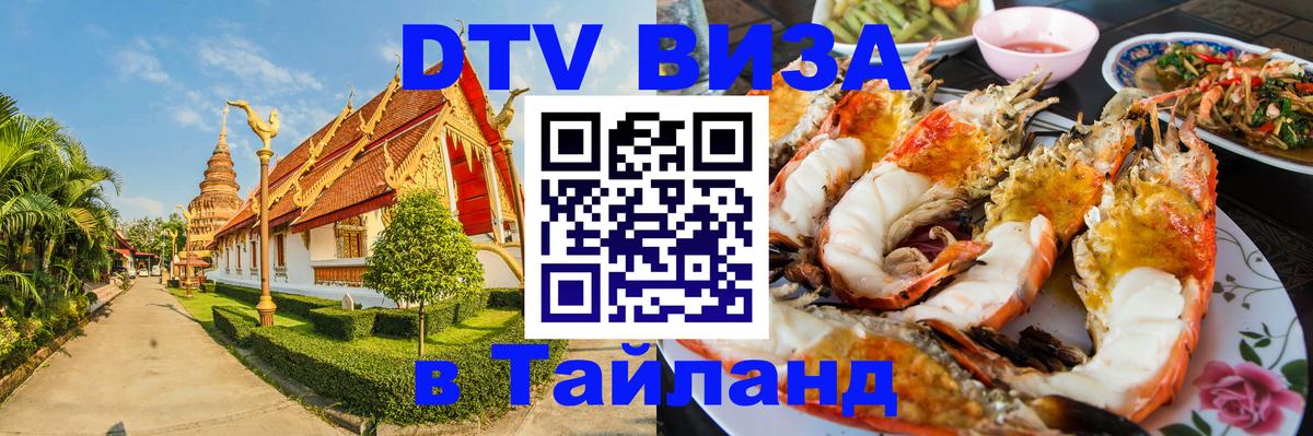 Сколько стоит DTV виза — актуальные цены, оформление даже без документов - 18.11.2025 